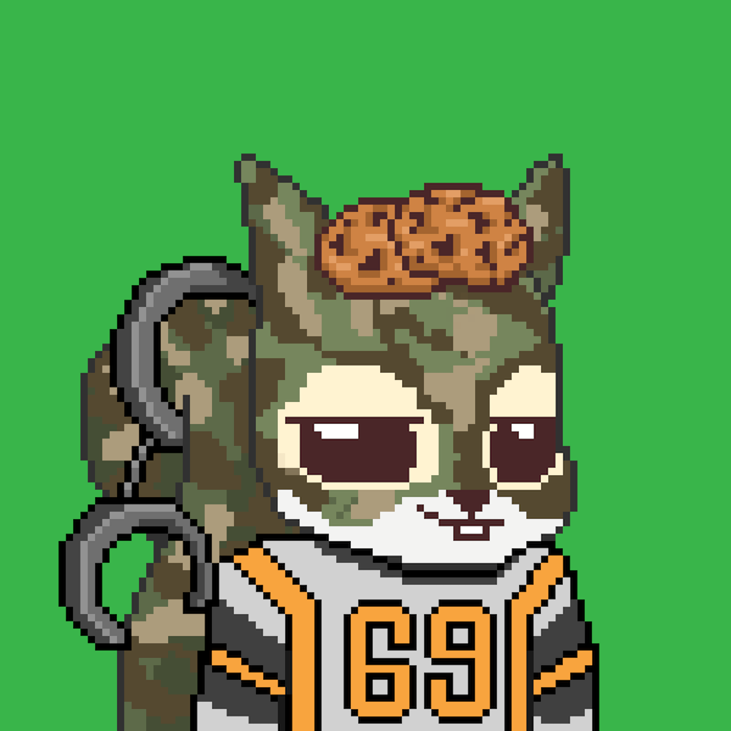 Pixel Squirrels #1010